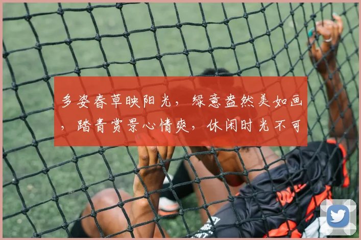 多姿春草映阳光，绿意盎然美如画，踏青赏景心情爽，休闲时光不可少。