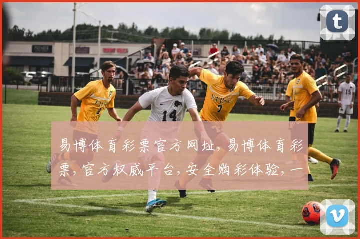易博体育彩票官方网址,易博体育彩票,官方权威平台,安全购彩体验,一站直达