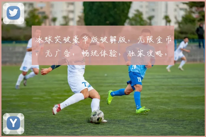 冰球突破豪华版破解版，无限金币，无广告，畅玩体验，独家攻略，必看教程，轻松上手
