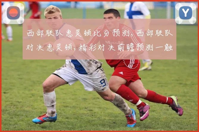 西部联队惠灵顿比分预测,西部联队对决惠灵顿,精彩对决前瞻预测一触即发,不容错过