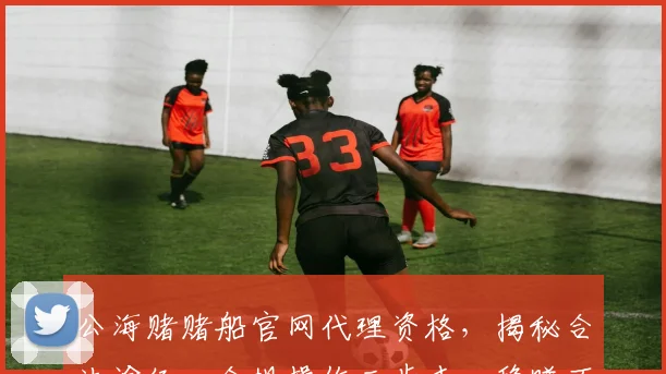 公海赌赌船官网代理资格，揭秘合法途径，合规操作三步走，稳赚不赔
