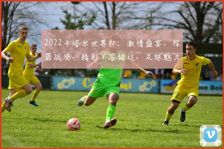 2022卡塔尔世界杯：激情盛宴，绿茵战场，精彩不容错过，足球魅力绽放